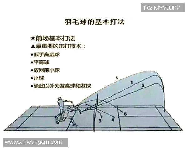 科学羽毛球训练方法全面解析与实用技巧分享